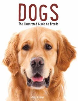 Hardcover Dogs: The Illustrated Guide to Breeds Book