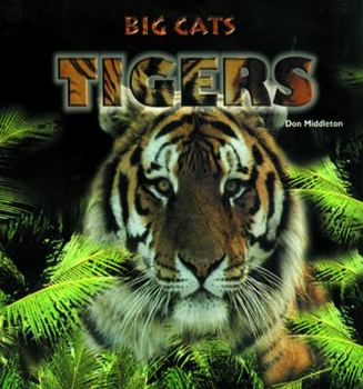 Hardcover Tigers Book