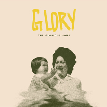 Vinyl Glory Book