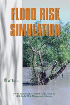 Hardcover Flood Risk Simulation Book