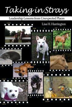 Paperback Taking in Strays: Leadership Lessons from Unexpected Places Book