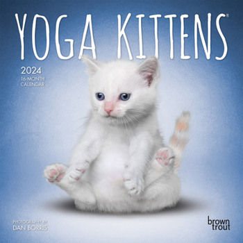 Calendar Yoga Kittens 2024 Mini 7x7 Book