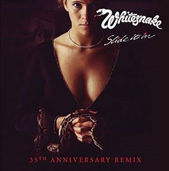 Vinyl Slide It In (35th Anniversary) Book