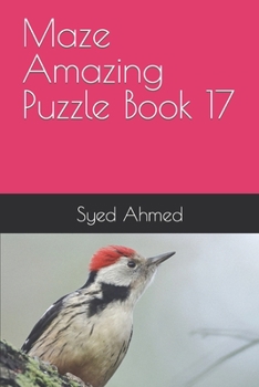 Paperback Maze Amazing Puzzle Book 17 Book