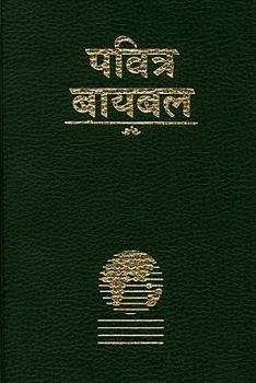 Marathi Bible-FL-Easy-To-Read