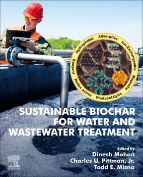 Paperback Sustainable Biochar for Water and Wastewater Treatment Book