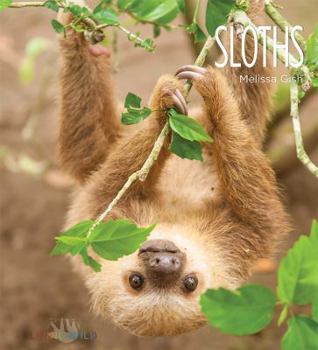 Sloths - Book  of the Living Wild