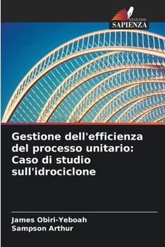 Gestione dell'efficienza del processo unitario: Caso di studio sull'idrociclone (Italian Edition)