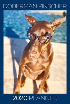 Doberman Pinscher Planner: 2020 diary: Increase productivity, improve time management, reach your goals: Playful Doberman in sunglasses
