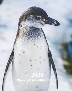 Paperback 2020 Weekly and Monthly Planner: Penguin - Monthly Calendar with U.S./UK/ Canadian/Christian/Jewish/Muslim Holidays- Calendar in Review/Notes 8 x 10 i Book