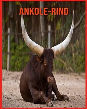 Ankole-Rind: Faszinierende Ankole-Rind Fakten f?r Kinder mit atemberaubenden Bildern!