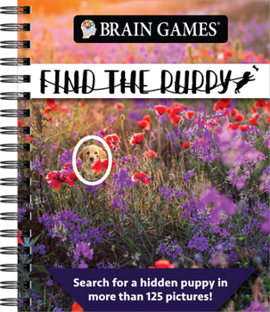Bg 160p Find the Puppy