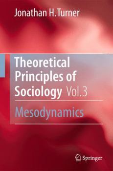 Paperback Theoretical Principles of Sociology, Volume 3: Mesodynamics Book