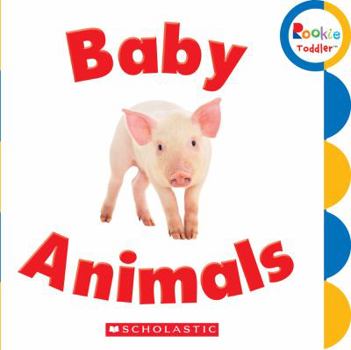 Board book Baby Animals Book