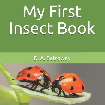 Paperback My First Insect Book