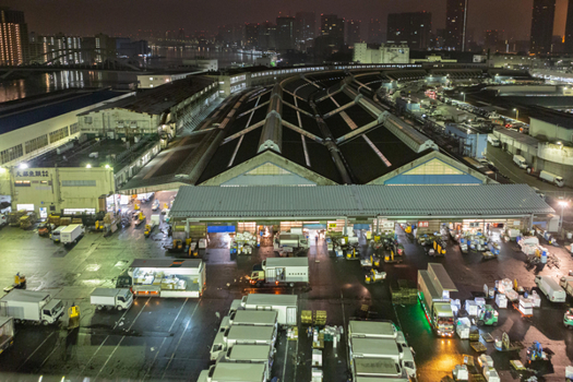 Hardcover Tsukiji Fish Market: Memories: 2006-2018 Book