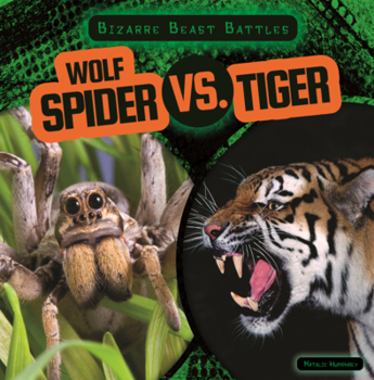 Wolf Spider vs. Tiger