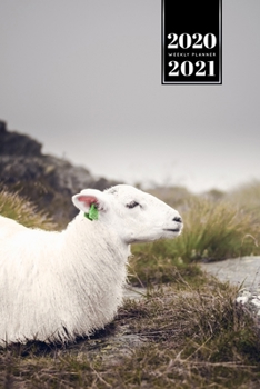 Sheep Lamm Shepherd Herder Farmer Week Planner Weekly Organizer Calendar 2020 / 2021 - Just Lying: Cute Wildlife Animal Pet Bullet Journal Notebook Diary in 6" x 9" Inch Pocket Size