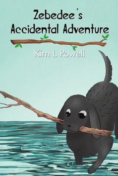 Paperback Zebedee's Accidental Adventure Book