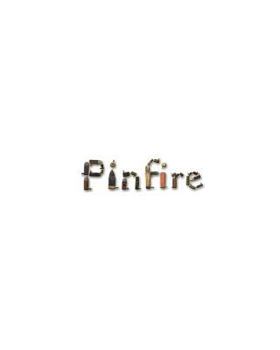 Paperback The Pinfire Page: Volumes 1 - 5; Excerpts from the International Ammunition Association Journal Book