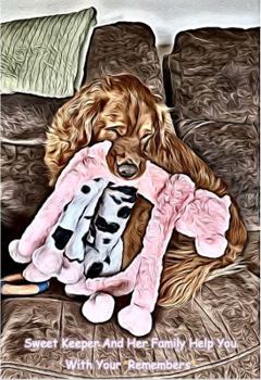 My Keeper : Sweet Keeper Helps You with Your Remembers