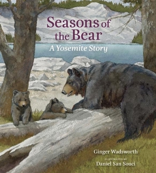 Hardcover Seasons of the Bear: A Yosemite Story Book