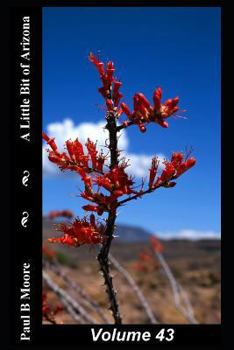 Paperback A Little Bit of Arizona: Volume 43 Book