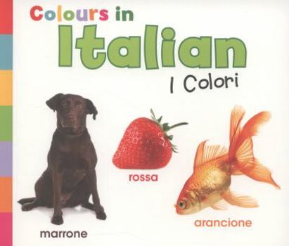 Colours in Italian. Daniel Nunn - Book  of the World Languages - Colors