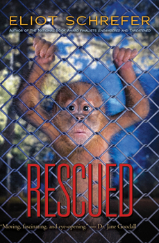 Rescued - Book #3 of the Ape Quartet