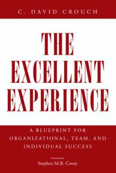 Paperback The Excellent Experience: A Blueprint for Organizational, Team, and Individual Success Book