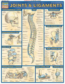 Cards Joints & Ligaments Book