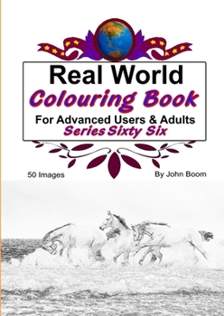Paperback Real World Colouring Books Series 66 Book