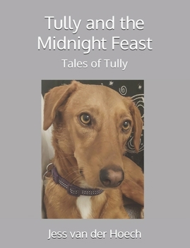 Paperback Tully and the Midnight Feast Book