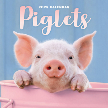 Calendar 2024 Piglets Mini Wall Calendar Book