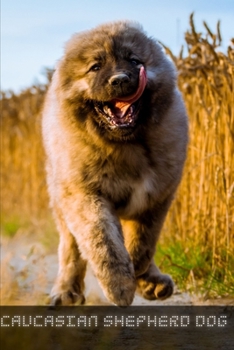 Paperback Caucasian Shepherd Dog: Complete breed guide Book