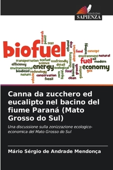 Canna da zucchero ed eucalipto nel bacino del fiume Paraná (Mato Grosso do Sul)