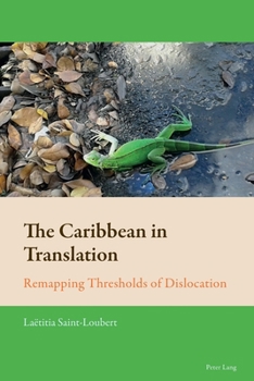 Paperback The Caribbean in Translation: Remapping Thresholds of Dislocation Book