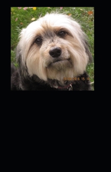 english for all: Portuguese edition