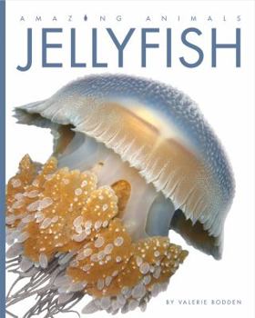 Jellyfish - Book  of the Amazing Animals