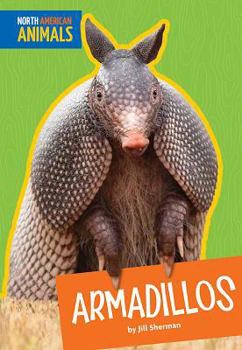 Los armadillos/ Armadillos (Animales Norteamericanos)