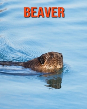 Paperback Beaver: Super Fun Facts And Amazing Pictures Book