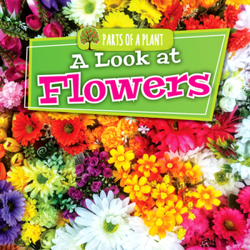 Library Binding A Look at Flowers Book