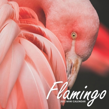 Paperback Flamingo: 2021 Calendar (Fantastic Birds) Book