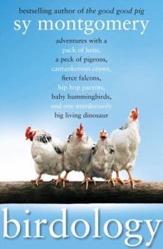Hardcover Birdology: Adventures with a Pack of Hens, a Peck of Pigeons, Cantankerous Crows, Fierce Falcons, Hip Hop Parrots, Baby Hummingbi Book