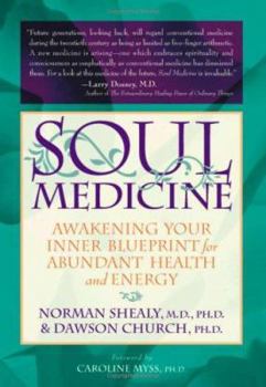 Hardcover Soul Medicine: Awakening Your Inner Blueprint for Abundant Health and Energy Book