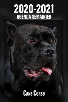 2020-2021 Agenda Semainier Cane Corso: A5, 221 Pages | 24 Mois | Planificateur & Organiseur | Calendrier | Une double page par semaine | Journal | Agenda | En Francais (French Edition)