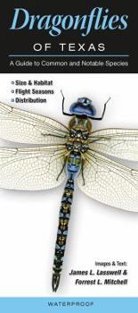 Pamphlet Dragonflies of Texas: A Guide to Common & Notable Species Book