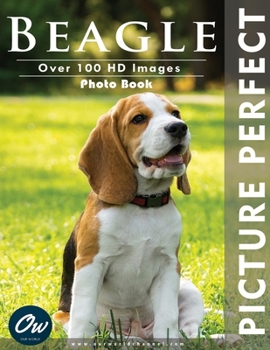 Paperback Beagle: Picture Perfect Photo Book