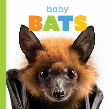 Paperback Baby Bats Book