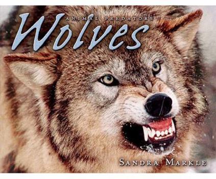 Hardcover Wolves Book